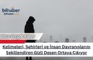 Kelimeleri, Şehirleri ve İnsan Davranışlarını Şekillendiren Gizli Desen Ortaya Çıkıyor