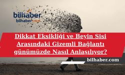 Dikkat Eksikliği ve Beyin Sisi Arasındaki Gizemli Bağlantı günümüzde Nasıl Anlaşılıyor?