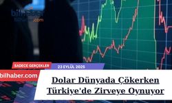 Dolar Dünyada Çökerken Türkiye'de Zirveye Oynuyor