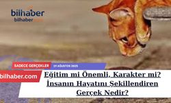 Eğitim mi Önemli, Karakter mi? İnsanın Hayatını Şekillendiren Gerçek Nedir?