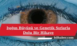 Işığın Büyüsü ve Genetik Sırlarla Dolu Bir Hikaye