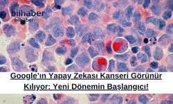 Google’ın Yapay Zekası Kanseri Görünür Kılıyor: Yeni Dönemin Başlangıcı!