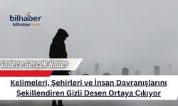 Kelimeleri, Şehirleri ve İnsan Davranışlarını Şekillendiren Gizli Desen Ortaya Çıkıyor
