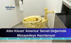 Altın Klozet 'America' Servet Değerinde Müzayedeye Hazırlanıyor
