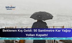Beklenen Kış Geldi: 50 Santimetre Kar Yağışı Yolları Kapattı!