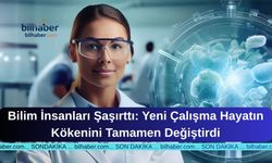 Bilim İnsanları Şaşırttı: Yeni Çalışma Hayatın Kökenini Tamamen Değiştirdi