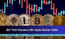 Bir Yılın Kazancı Bir Ayda Buhar Oldu