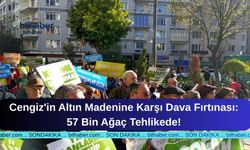 Cengiz'in Altın Madenine Karşı Dava Fırtınası: 57 Bin Ağaç Tehlikede!