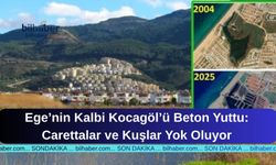 Kuşadası Kocagöl'ü Beton Altında: Ege'nin İncisi Yok Oluyor!