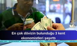 En çok dövizin bulunduğu 3 kent ekonomistleri şaşırttı