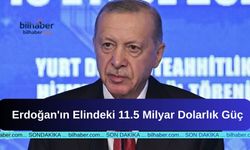 Erdoğan'ın Elindeki 11.5 Milyar Dolarlık Güç