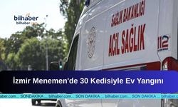 İzmir Menemen'de 30 Kedisiyle Ev Yangını