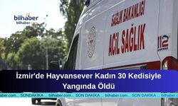 İzmir'de Hayvansever Kadın 30 Kedisiyle Yangında Öldü