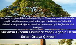 Kur'an'ın Gizemli Fısıltıları: Yasak Ağacın Derin Sırları Ortaya Çıkıyor!