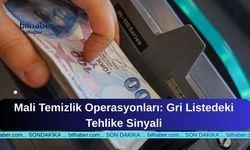 Mali Temizlik Operasyonları: Gri Listedeki Tehlike Sinyali