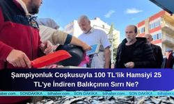 Şampiyonluk Coşkusuyla 100 TL'lik Hamsiyi 25 TL'ye İndiren Balıkçının Sırrı Ne?