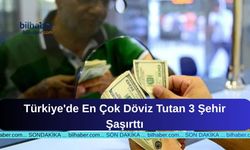 Türkiye'de En Çok Döviz Tutan 3 Şehir Şaşırttı