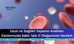 Uzun ve Sağlıklı Yaşamın Anahtarı Kaslarınızda Saklı: İşte O Olağanüstü Hareket