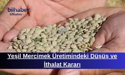 Yeşil Mercimek Üretimindeki Düşüş ve İthalat Kararı