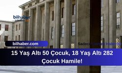 15 Yaş Altı 50 Çocuk, 18 Yaş Altı 282 Çocuk Hamile!