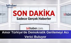 Amor Türkiye'de Demokratik Gerilemeyi Acı Verici Buluyor