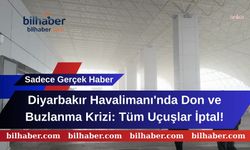 Diyarbakır Havalimanı'nda Don ve Buzlanma Krizi: Tüm Uçuşlar İptal!