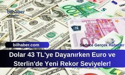 Dolar 43 TL'ye Dayanırken Euro ve Sterlin'de Yeni Rekor Seviyeler!
