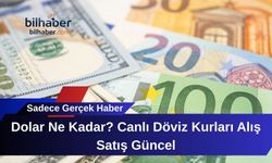 Dolar Ne Kadar? Canlı Döviz Kurları Alış Satış Güncel