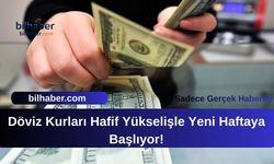 Döviz Kurları Hafif Yükselişle Yeni Haftaya Başlıyor!