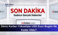Döviz Kurları Yükselişte USD Euro Bugün Ne Kadar Oldu?