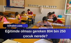 Eğitim Sisteminde Kaybolan Yüz Binlerce Çocuk