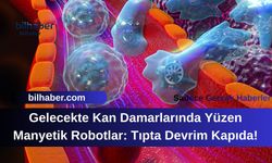 Gelecekte Kan Damarlarında Yüzen Manyetik Robotlar: Tıpta Devrim Kapıda!