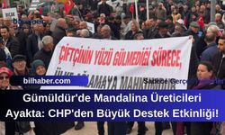 Gümüldür'de Mandalina Üreticileri Ayakta: CHP'den Büyük Destek Etkinliği!