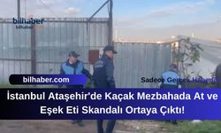 İstanbul Ataşehir'de Kaçak Mezbahada At ve Eşek Eti Skandalı Ortaya Çıktı!
