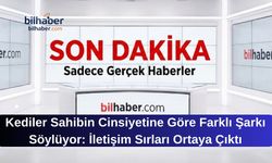 Kediler Sahibin Cinsiyetine Göre Farklı Şarkı Söylüyor: İletişim Sırları Ortaya Çıktı