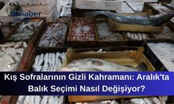 Kış Sofralarının Gizli Kahramanı: Aralık'ta Balık Seçimi Nasıl Değişiyor?