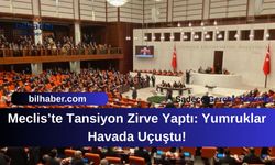 Meclis’te Tansiyon Zirve Yaptı: Yumruklar Havada Uçuştu!