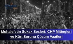Muhalefetin Sokak Sesleri: CHP Mitingleri ve Kürt Sorunu Çözüm Vaatleri