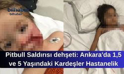 Pitbull Saldırısı dehşeti: Ankara'da 1,5 ve 5 Yaşındaki Kardeşler Hastanelik