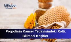 Propolisin Kanser Tedavisindeki Rolü: Bilimsel Keşifler