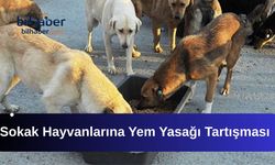 Sokak Hayvanlarına Yem Yasağı Tartışması