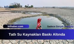 Tatlı Su Kaynakları Baskı Altında