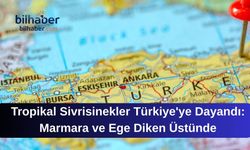 Tropikal Sivrisinekler Türkiye'ye Dayandı: Marmara ve Ege Diken Üstünde
