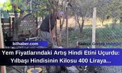 Yem Fiyatlarındaki Artış Hindi Etini Uçurdu: Yılbaşı Hindisinin Kilosu 400 Liraya Dayandı!