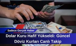 Dolar Kuru Hafif Yükseldi: Güncel Döviz Kurları Canlı Takip