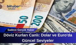 Döviz Kurları Canlı: Dolar ve Euro'da Güncel Seviyeler