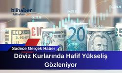 Döviz Kurlarında Hafif Yükseliş Gözleniyor