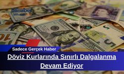 Döviz Kurlarında Sınırlı Dalgalanma Devam Ediyor