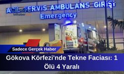 Gökova Körfezi'nde Tekne Faciası: 1 Ölü 4 Yaralı