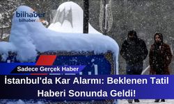 İstanbul'da Kar Alarmı: Beklenen Tatil Haberi Sonunda Geldi!